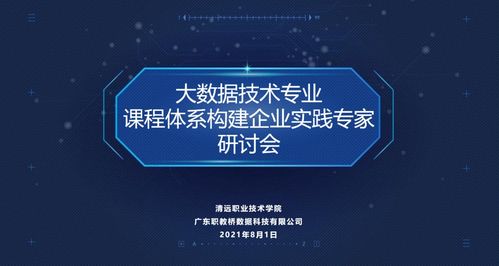 职教桥赋能院校新专业内涵建设 以智慧健康养老服务与大数据技术专业为例