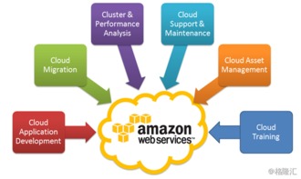 京东向亚马逊学不到的精华 哈尔滨视角下的本土化生存智慧